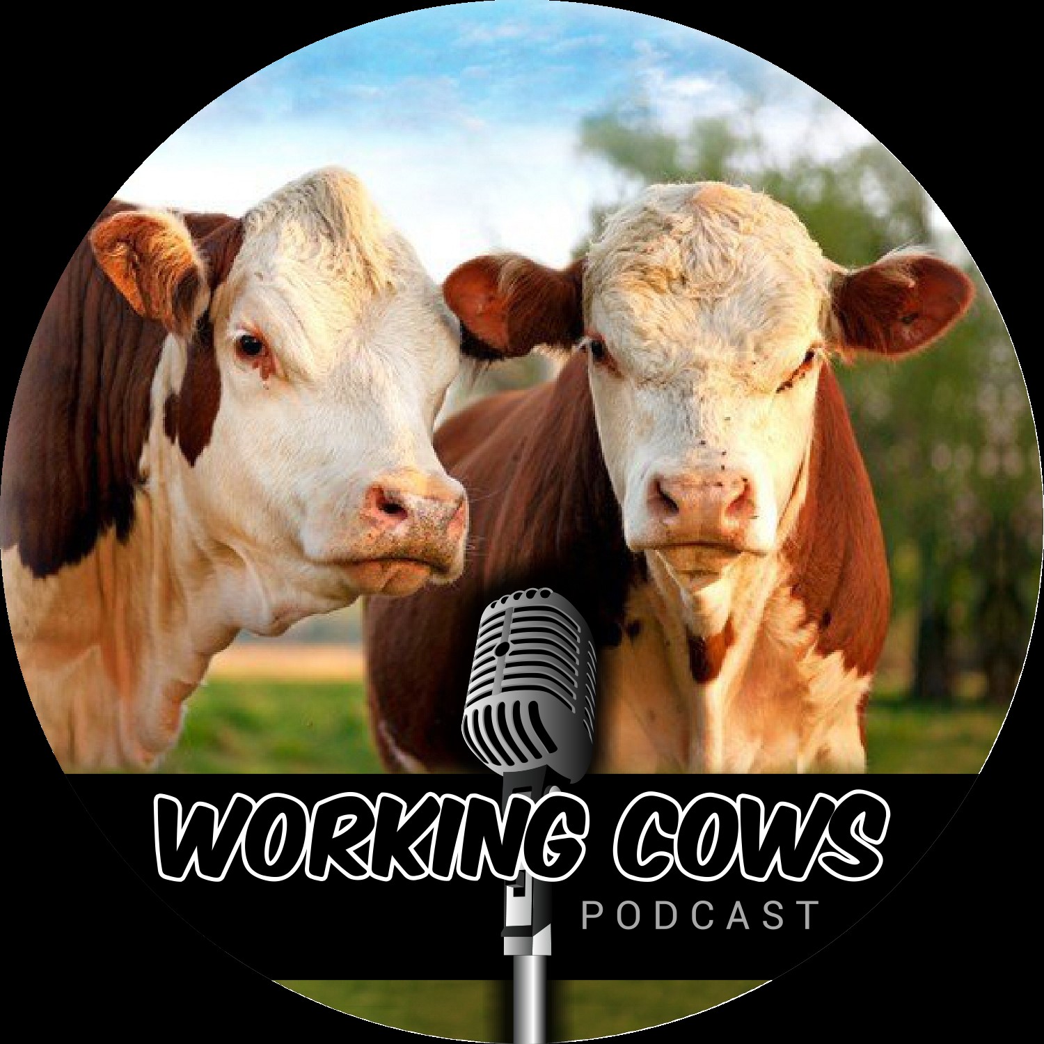 Working Cows cover art